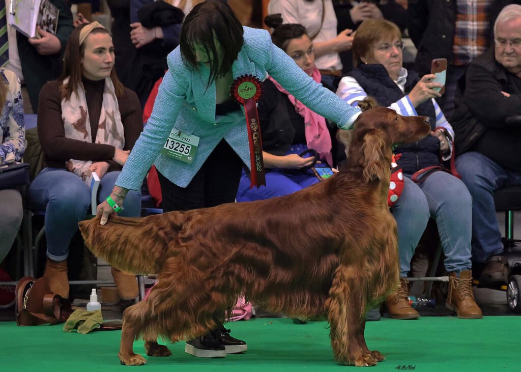Mike-Crufts-2022-BVD