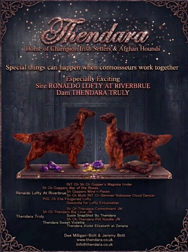 Thendara Puppies
