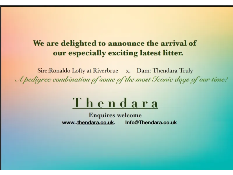 Thendara Pups